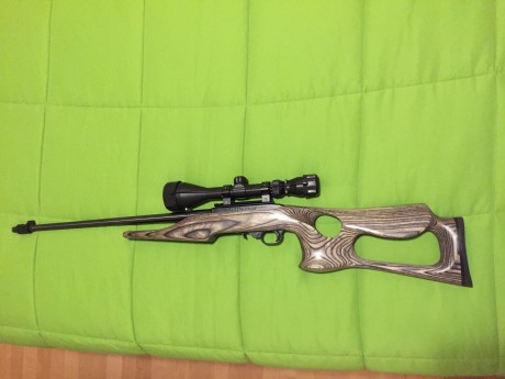 Vuelvo a sacar a la venta una carabina Ruger 10/22 va con un visor, adaptador para bocacha cargador original, 02