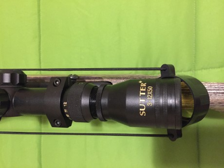 Vuelvo a sacar a la venta una carabina Ruger 10/22 va con un visor, adaptador para bocacha cargador original, 11