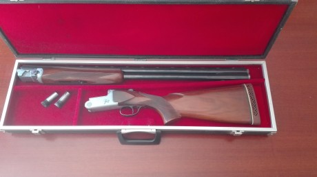 Maginifica superpuesta del calibre 12 con cañon de 73, 4 choques, expulsora. Usada para tiro al plato.

El 00