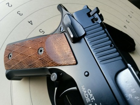 Hola:

Pongo a la venta pistola de 9mm. de la firma Pardini, mod. GT9, color negro.
El arma siempre estuvo 20