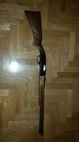 Un compañero pone en venta las siguientes carabinas.

Carabina Gevarm  semiautomática Cal 22 lr 
Carabina 01