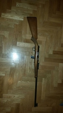 Un compañero pone en venta las siguientes carabinas.

Carabina Gevarm  semiautomática Cal 22 lr 
Carabina 00