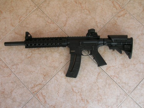 Hola a todos.
Vendo mi carabina Smith & Wesson MP-15 en calibre .22 lr.
Esta estupenda y funciona 02