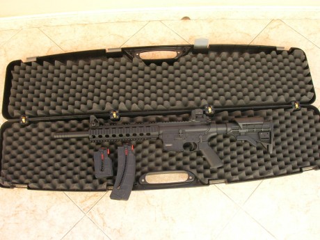 Hola a todos.
Vendo mi carabina Smith & Wesson MP-15 en calibre .22 lr.
Esta estupenda y funciona 12