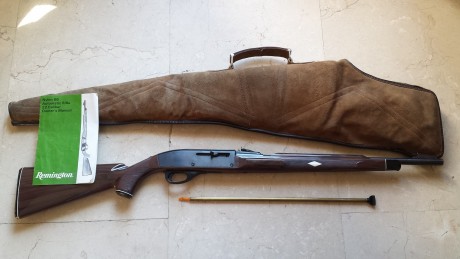 Remington Nylon 66 22LR. 120 euros. Madrid 00