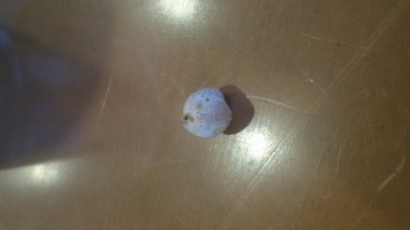 Pues vendo un garbanzo, como nuevo, 120€, portes incluidos o recogida en mano en barcelona. 
Regalo visor 00