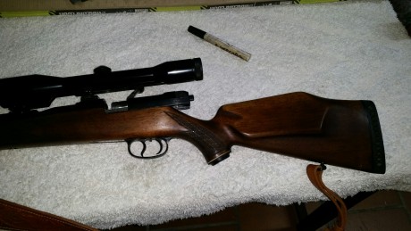 hola muybuenas compañeros tengo un amigo que esta buscando un rifle de cerrojo del 7mm si pudiera ser 10
