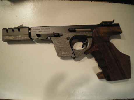 Hola buenas:
Pues lo dicho vendo o cambio mi Walther GSP Expert cal 22 lr.
Por no poder atenderla por 01