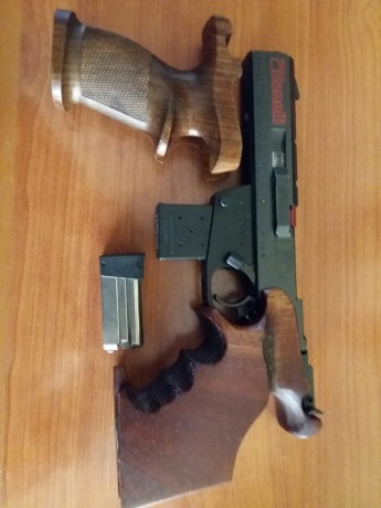 Hola. Se vende Benelli 95,  22Lr.  muy buena pistola para competir, equilibrada ,precisa y fiable. Con 02