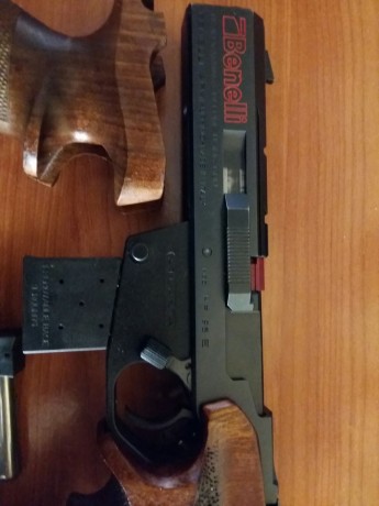 Hola. Se vende Benelli 95,  22Lr.  muy buena pistola para competir, equilibrada ,precisa y fiable. Con 01