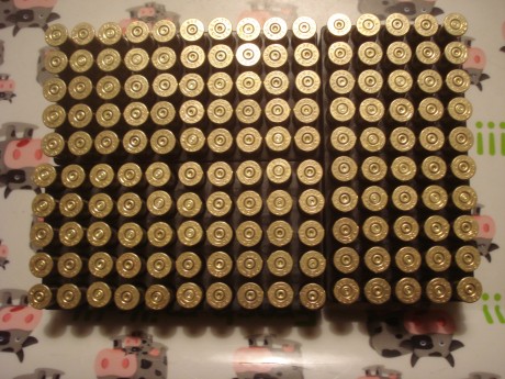 Pongo a la venta unas 700 vainas CBC.-Magtech del calibre .357 Magnum con un solo disparo efectuado, están 02