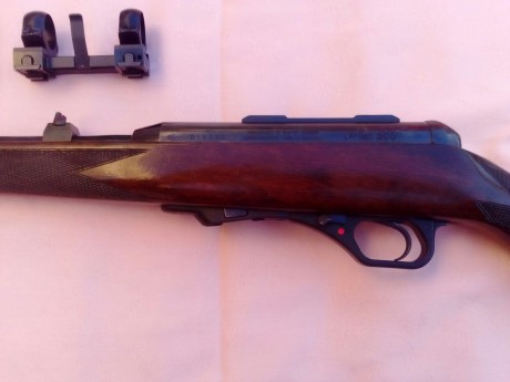 Se vende Carabina Semiautomatica HK 300,calibre 22 magnum,
Monturas originales HK,
2 cargadores de 5,
esta 01