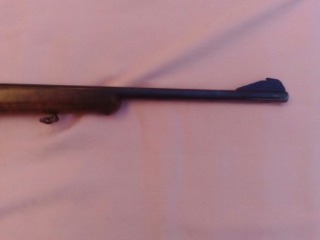 Se vende Carabina Semiautomatica HK 300,calibre 22 magnum,
Monturas originales HK,
2 cargadores de 5,
esta 21