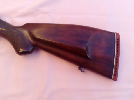 Se vende Carabina Semiautomatica HK 300,calibre 22 magnum,
Monturas originales HK,
2 cargadores de 5,
esta 20