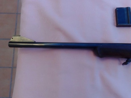 Se vende Carabina Semiautomatica HK 300,calibre 22 magnum,
Monturas originales HK,
2 cargadores de 5,
esta 30
