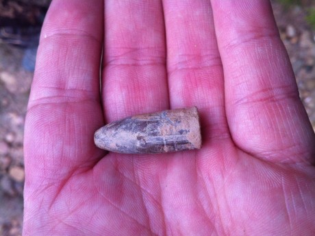 Ayer yendo de pesca encontré una vaina en la que ponía 17 35 y nada mas. Es similar en la forma a la de 110