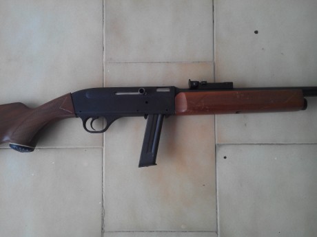 Vendo carabina del cal. 22, marca Gevarm, muy buen estado, desmontable, cañón con rosca y cubre rosca, 01