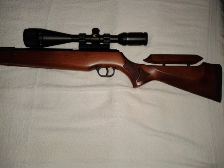 - Vendo carabina Cometa Fenix 400 star en calibre 5,5, en impecable estado tanto de pavón como de culata, 00