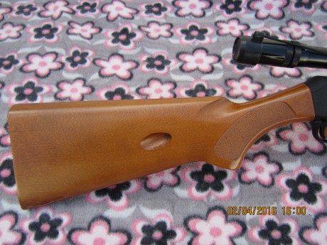 Muy buenas,pongo a la venta carabina Franchi del 22 con visor y funda cuero todo ello completamente nuevo...el 00