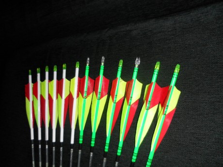 vendo 12 flechas axis cal 340 con pluma natural tipo escudo y vinilo , cortas a 29,5. tres de ellas llevan 00
