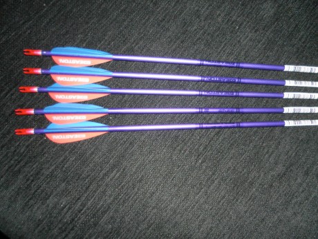 vendo 5 flechas easton jazz cortadas a 29 son totalmente nuevas , sin uso. estan en valencia. 12€ 01