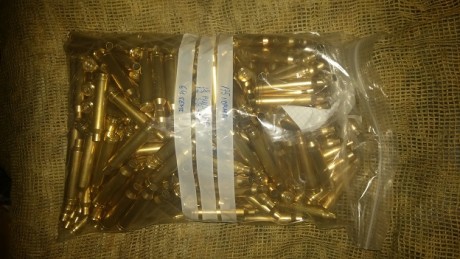 Vendo dos lotes de vainas uno del 9,3x74R que consta de 40 vainas norma y 80 RWS incluyo otras 28 de otras 01
