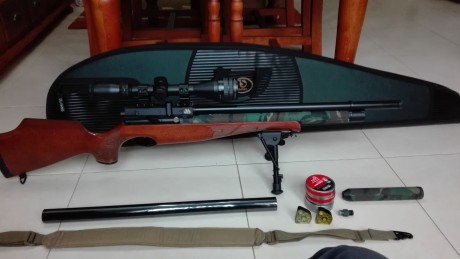 Se vende air arms 510 REGULADA y TUNEADA por j.serrano y rapid ,va muy fina se entrega con el deposito 00