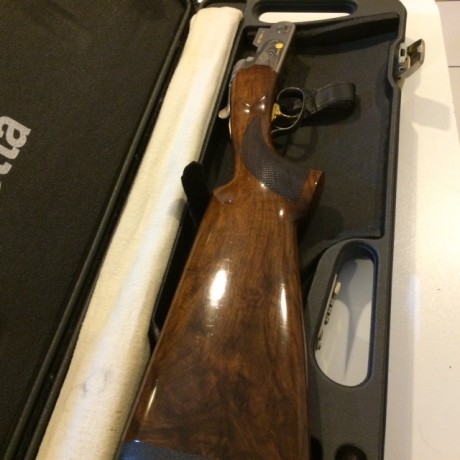 Buenas tardes

Vendo , por no usar, una escopeta Beretta 682 GOLD E, especial para Trap
La escopeta está 02