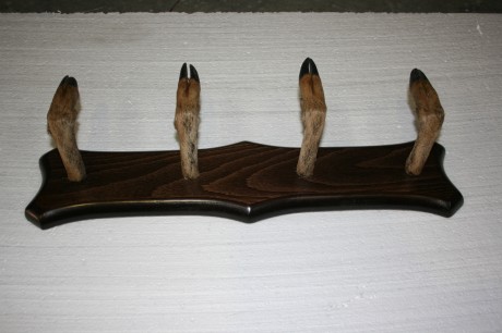 Vendo percheros hechos con patas de corzo, naturalizadas muy bonitas, y resistentes, no se rompen con 01