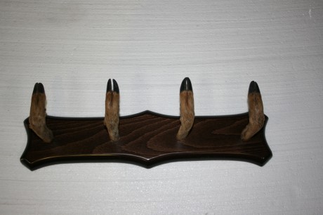 Vendo percheros hechos con patas de corzo, naturalizadas muy bonitas, y resistentes, no se rompen con 00