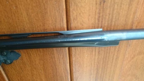 Pues eso, se vende BERETTA AL391 Urika Teknys del 20
peso 2.80 Kg
cañon 71 cm
5 choques
se compró para 12