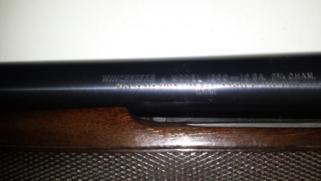 Buenas compañeros  tengo otra escopeta de la cual  quiero vender por limpiar armero .Se trata de una winchester 01