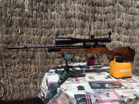 Se vende conjunto carabina pcp weihrauch hw100 con visor. Increíblemente precisa, para mi las mejores 02