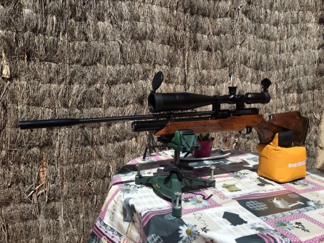 Se vende conjunto carabina pcp weihrauch hw100 con visor. Increíblemente precisa, para mi las mejores 10