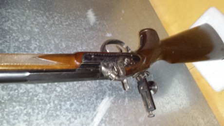 Buenas a todos ... vendo fusil  de avancarga RIGBY CREEDMOOR  AMR  calibre 45 con su respectiva turquesa 12