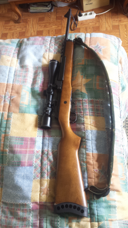 Se vende ruger mini thirty calibre 7,62x39.con 4 cargadores pequeños y 1 de gran capacidad y anillas para 01