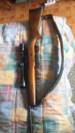 Se vende ruger mini thirty calibre 7,62x39.con 4 cargadores pequeños y 1 de gran capacidad y anillas para 00