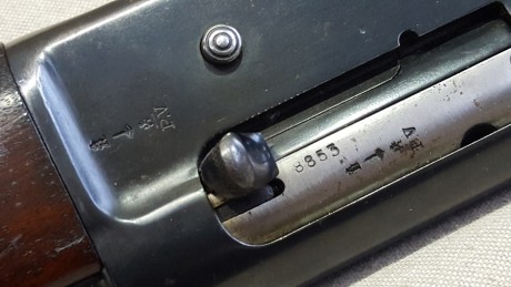 Vendo la mítica browning auto 5, tambien llamada "la cheposa".

Tengo entendido que fué el primer 22