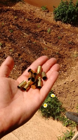 Hola. Vendo vainas 9 pb. Mayoría marca s&b un disparo. 20 euros las 1000 + portes. Están en mallorca. 00