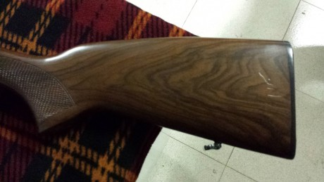 Vendo carabina Breno calibre 22 por dejar modalidad de tendido, la carabina está en perfectas condiciones, 02