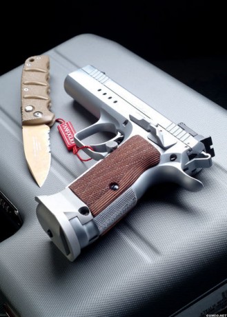 HOLA A TODOS, ESTOY EMPEZANDO CON ESTO DEL TIRO Y ME GUSTARIA QUE ME ACONSEJARAIS UN 9 MM PARA PRECISION 100