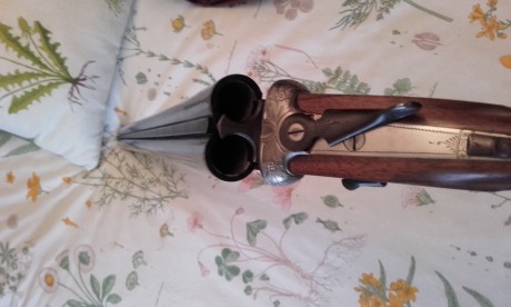  20160420_143441.jpg Vendo o cambio escopeta parkemy apm
Báscula entera grabada fina con llave desmontaje 30