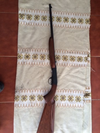 Vendo o cambio:
Carabina de peso ligero, desmontable, tiene miras abiertas con posibilidad de instalarle 01