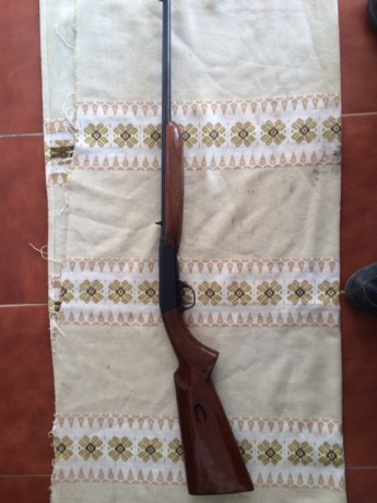 Vendo o cambio:
Carabina de peso ligero, desmontable, tiene miras abiertas con posibilidad de instalarle 00