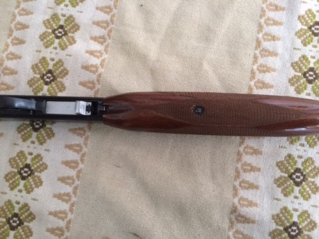 Vendo o cambio:
Carabina de peso ligero, desmontable, tiene miras abiertas con posibilidad de instalarle 22