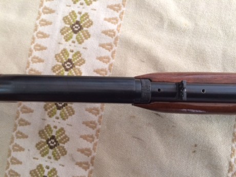 Vendo o cambio:
Carabina de peso ligero, desmontable, tiene miras abiertas con posibilidad de instalarle 31