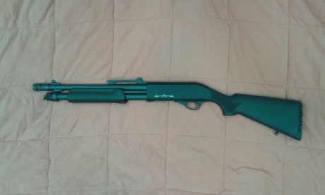 Hola!! vendo stinger tactical corredera cal 12 (RXT 1206).
Con dos culatas, retractil y monopieza.
Con 02