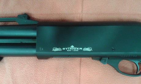 Hola!! vendo stinger tactical corredera cal 12 (RXT 1206).
Con dos culatas, retractil y monopieza.
Con 01