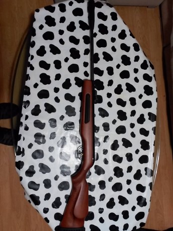 Vendo escopeta de aire comprido Gamo Màxima sin estrenar.
Se puede ver y probar en Barcelona.
Se vende 02
