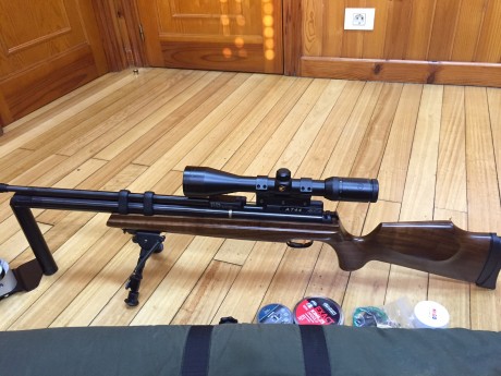 Vendo esta carabina. POTENCIA Y PRECISIÓN ASEGURADAS. Cal .25 ó 6,35mm La potencia de impacto y precisión 01